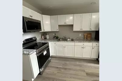 3647 Hebert Street, Saint Louis, MO 63107 - Photo 5