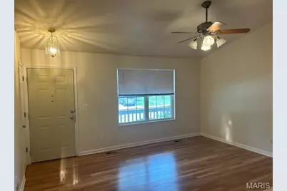 244 Sassafras Parc Drive, O'Fallon, MO 63368 - Photo 3