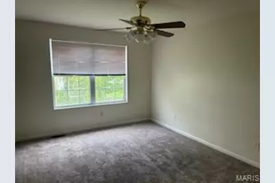 244 Sassafras Parc Drive, O'Fallon, MO 63368 - Photo 13