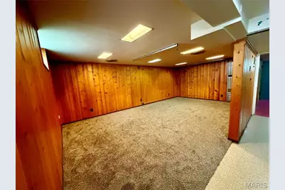 5708 Fyler Avenue, Saint Louis, MO 63139 - Photo 13