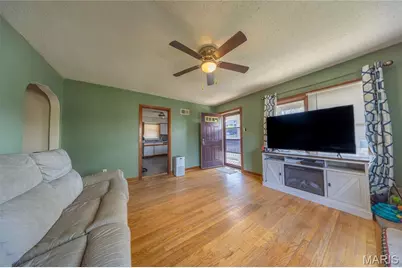 217 Donnelly Street, De Soto, MO 63020 - Photo 3