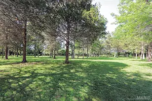 143 Terrace Garden Ln, Farmington, MO 63640 - Photo 75