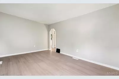 10117 Count Drive, Unincorporated, MO 63136 - Photo 5