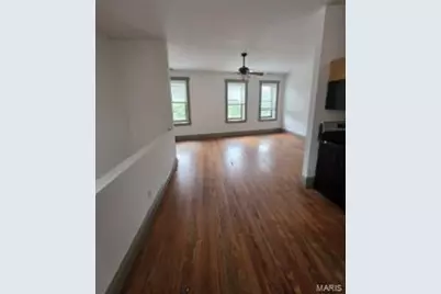 3008 S Jefferson Avenue, Saint Louis, MO 63118 - Photo 3