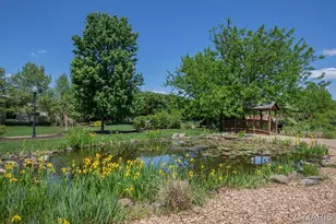 134 Suntan Way, Saint Charles, MO 63301 - Photo 53