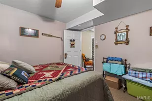 14 Pheasant Dr, Farmington, MO 63640 - Photo 21