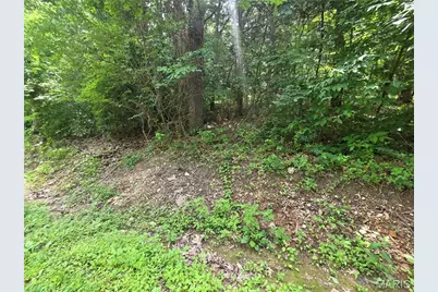 0 S Lake Shore Drive, Hillsboro, MO 63050 - Photo 3