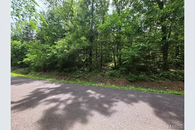 0 S Lake Shore Drive, Hillsboro, MO 63050 - Photo 9