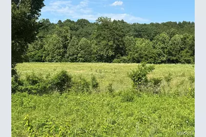 Madison 501 Off Highway 67, Fredericktown, MO 63645 - Photo 5