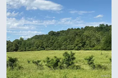 Madison 501 Off Highway 67, Fredericktown, MO 63645 - Photo 3