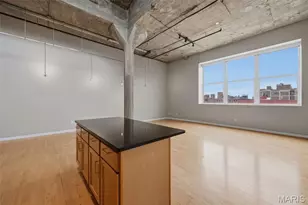 1511 Locust St, Saint Louis, MO 63103 - Photo 29