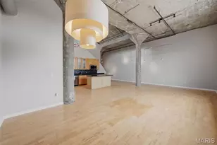 1511 Locust St, Saint Louis, MO 63103 - Photo 37