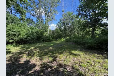 2 Bluffview Court, New Florence, MO 63363 - Photo 49