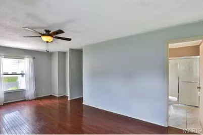 11858 Villa Dorado Drive, Saint Louis, MO 63146 - Photo 19