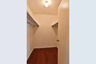 11858 Villa Dorado Drive, Saint Louis, MO 63146 - Photo 23