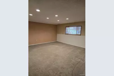 11561 Patty Ann Drive, Unincorporated, MO 63146 - Photo 25