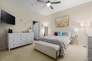 9 N Euclid Ave, Saint Louis, MO 63108 - Photo 13