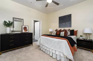 9 N Euclid Ave, Saint Louis, MO 63108 - Photo 13