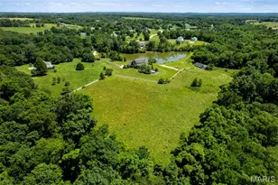 4765 Quail Run Rd, Farmington, MO 63640 - Photo 53