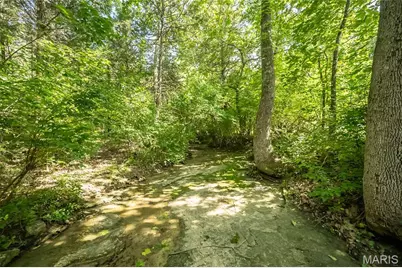 0 Watson Road, Festus, MO 63028 - Photo 5