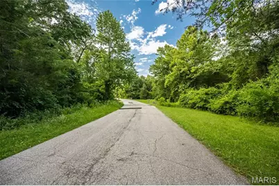 0 Watson Road, Festus, MO 63028 - Photo 7