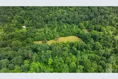 10564 Timberland Drive, Richwoods, MO 63080 - Photo 43