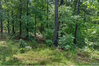 10564 Timberland Drive, Richwoods, MO 63080 - Photo 35