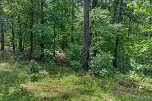 10564 Timberland Dr, Richwoods, MO 63080 - Photo 35