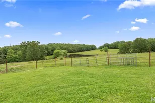 33 Alder Springs Rd, Imperial, MO 65486 - Photo 61