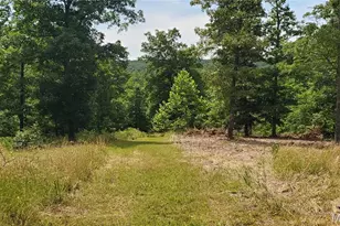 11721 Hwy K, Jadwin, MO 65501 - Photo 57