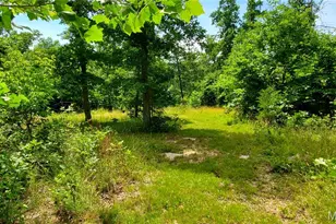 11721 Hwy K, Jadwin, MO 65501 - Photo 61