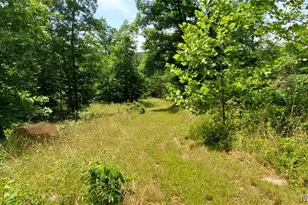 11721 Hwy K, Jadwin, MO 65501 - Photo 59