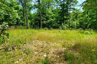 11721 Hwy K, Jadwin, MO 65501 - Photo 63