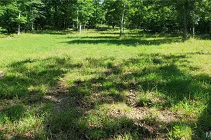 11721 Hwy K, Jadwin, MO 65501 - Photo 89