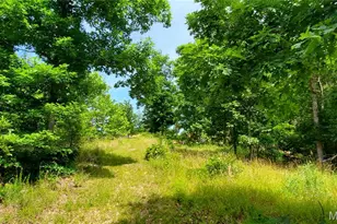 11721 Hwy K, Jadwin, MO 65501 - Photo 67