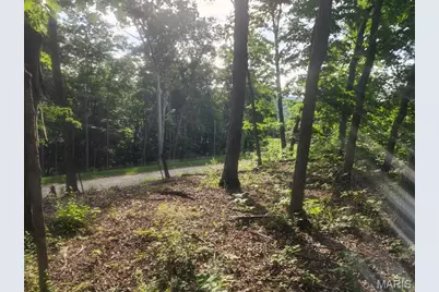 22206 Tree Farm  (6.52Acres +/-) Road, Warrenton, MO 63383 - Photo 7