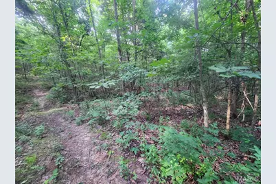 22206 Tree Farm  (6.52Acres +/-) Road, Warrenton, MO 63383 - Photo 9
