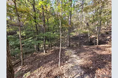 161 Steeple Point Drive, Defiance, MO 63341 - Photo 17