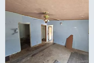 401 Hill Side Road, De Soto, MO 63020 - Photo 9