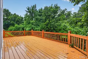 853 Wellesley Pl Dr, Chesterfield, MO 63017 - Photo 49