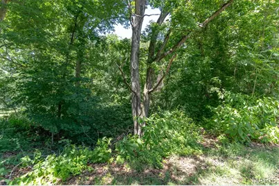 0 Dunklin Drive, Herculaneum, MO 63048 - Photo 17