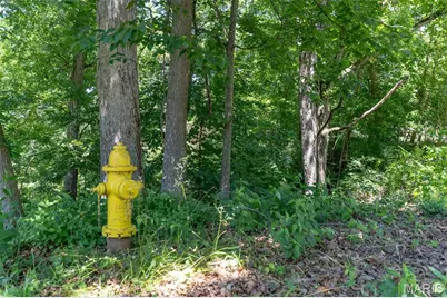 0 Dunklin Drive, Herculaneum, MO 63048 - Photo 11