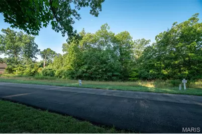 31 Grand Meridien Court, Wildwood, MO 63005 - Photo 5