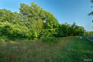 31 Tbb Grand Meridien Ct, Wildwood, MO 63005 - Photo 21