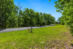 35 Tbb Grand Meridien Ct, Wildwood, MO 63005 - Photo 21