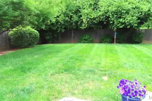 615 Foxtail Dr, Florissant, MO 63034 - Photo 37