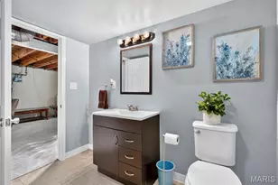 4317 Sunshine Dr, Saint Louis, MO 63116 - Photo 53