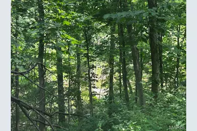 620 Crooked Creek Lane, Eureka, MO 63025 - Photo 9