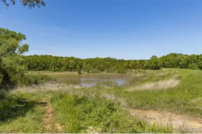 0 State Route 21, De Soto, MO 63020 - Photo 13