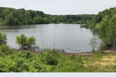 0 State Route 21, De Soto, MO 63020 - Photo 3